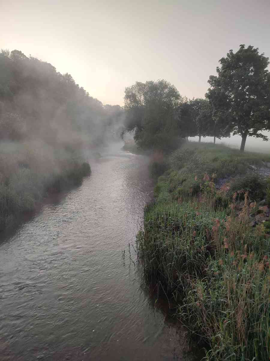 snaphot Roßwein, Morgennebel am Pfingstwochenende in der grünen Aue bei Roßwein , 27.05.2023 03:54