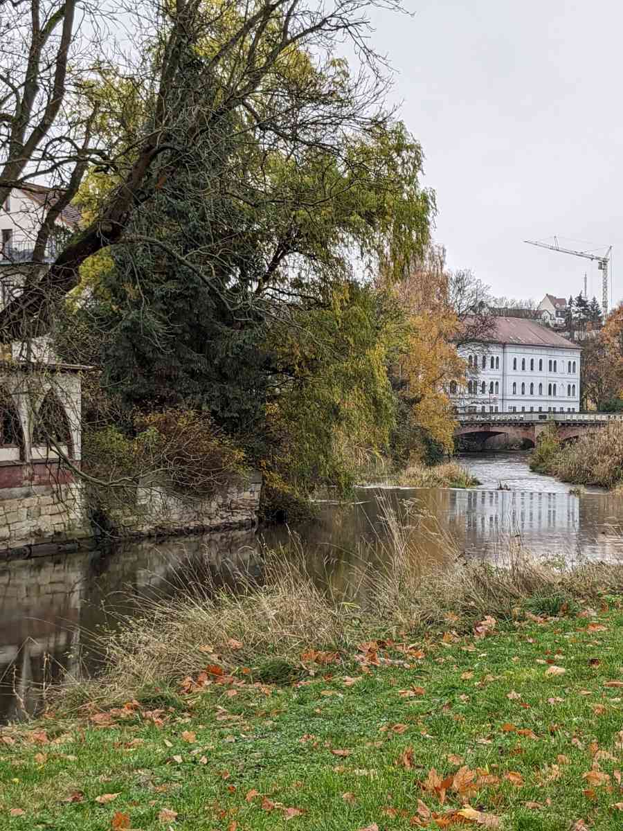 snaphot Döbeln, Mulde in Döbeln gegenüber den Färberhäusern, 21.11.2023 12:48