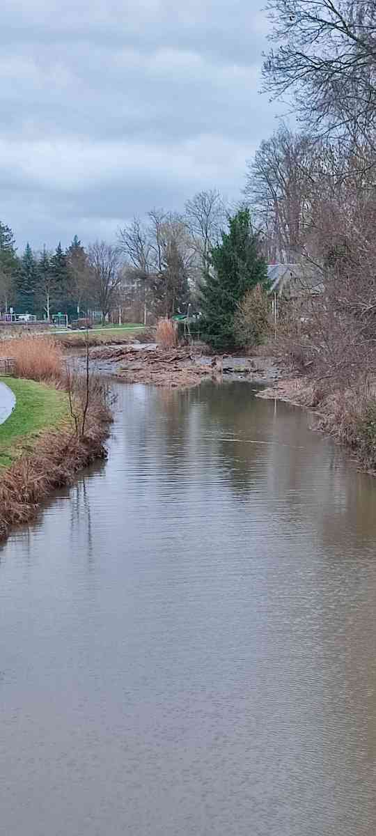 snaphot Döbeln, Die Freiberger Mulde nach dem Hochwasser von der Oberbrücke aus in Richtung Krankenhaus gesehen, 26.12.2023 22:31