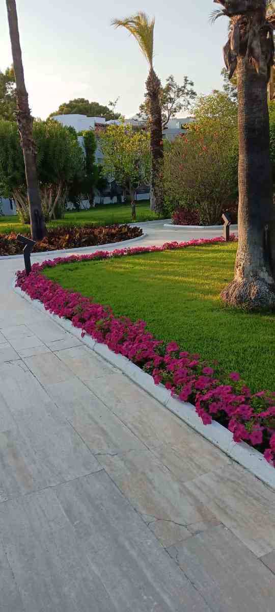 snaphot Kemer, Emelda Sun Club, 30.04.2025 08:04