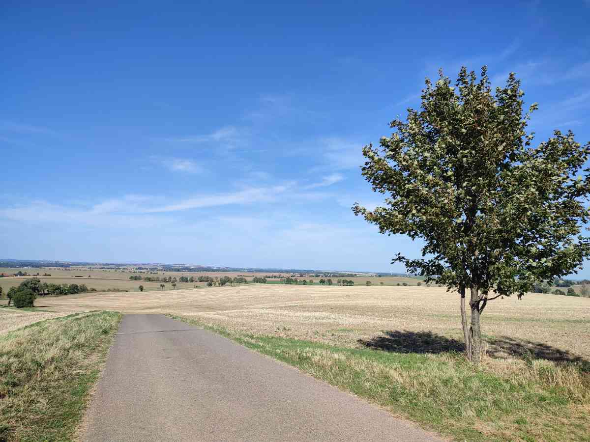 snaphot Mügeln, Sachsen im September, 20.09.2025 13:11