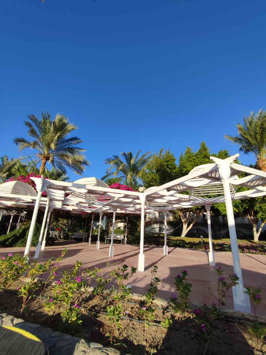 snaphot Hurghada 1, Desert Rose , 29.09.2025 14:23