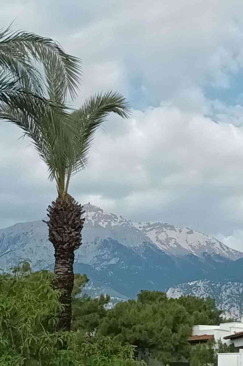 snaphot Çamyuva, Blick zum Olympus Teleferik, 26.04.2026 06:15