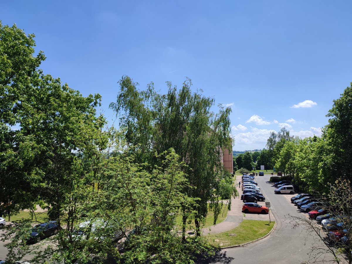 Vorschau-Bild