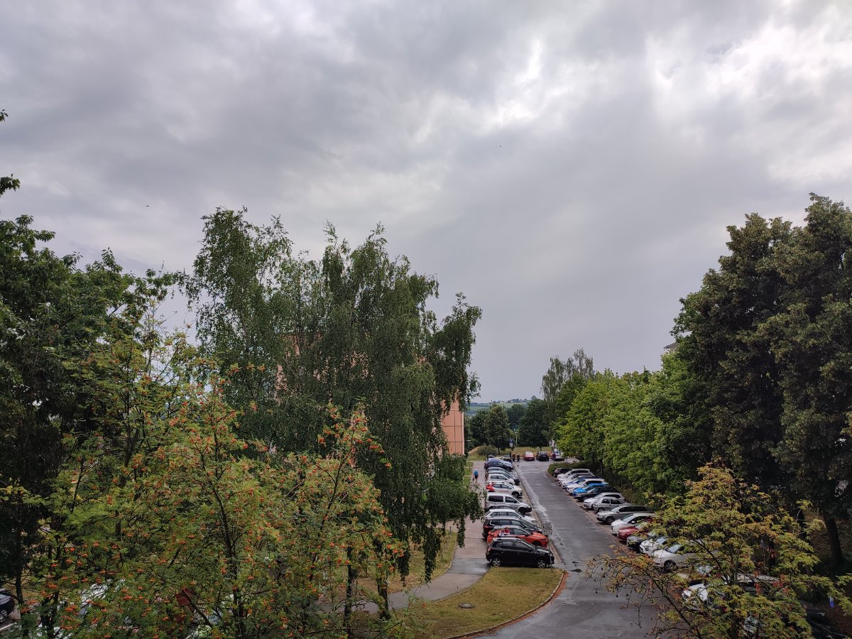 Vorschau-Bild