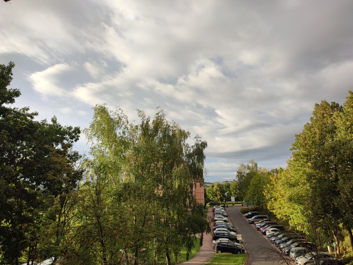 Vorschau-Bild