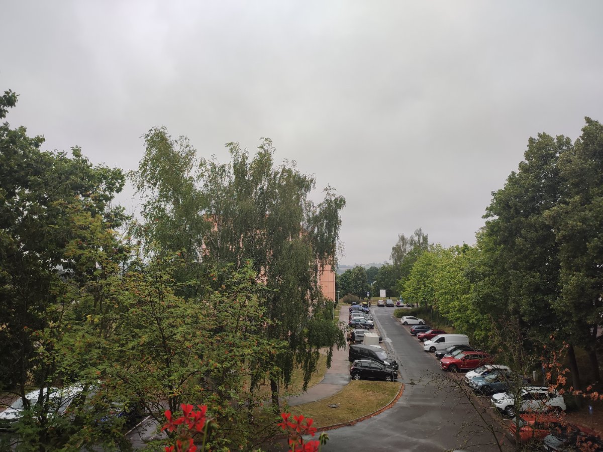 Vorschau-Bild
