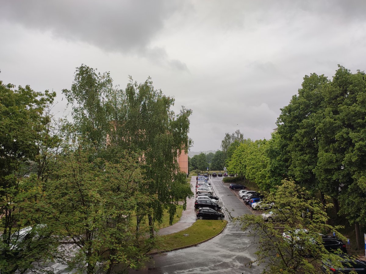 Vorschau-Bild