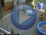 zur Webcam  Frankfurt am Main