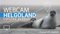 zur Webcam Helgoland - Hafen