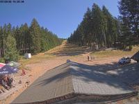 zur Webcam Erbeskopf - Sommerrodelbahn