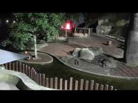 zur Webcam Sydney - Taronga Zoo