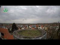 Miniaturansicht für die Webcam Otterstadt - Storchenwebcam