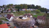 Miniaturansicht für die Webcam Röttenbach - Storchennest
