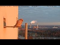 Miniaturansicht für die Webcam Berlin - Corbusierhaus Falkencam