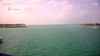 Webcam Florida Key West - Pier House laden