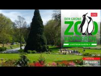 Thumbnail für die Webcam Grüner Zoo Wuppertal - Elefantenanlage