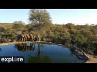 Webcam Kenia - Africam Rosie´s Pan laden