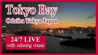 Thumbnail für die Webcam Tokio Bay