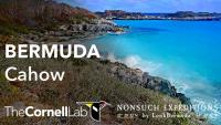 Bermuda - Nonsuch Island