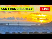 Webcam San Francisco - Treasure Island laden
