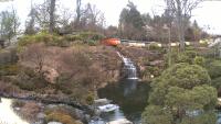 Thumbnail für die Webcam Kaiserslautern - Japanischer Garten