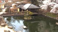 Thumbnail für die Webcam Kaiserslautern - Japanischer Garten