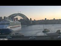 zur Webcam Sydney Taronga Zoo - Lion Cam 