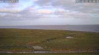 Miniaturansicht für die Webcam Hallig Langeneß - Neuwarft