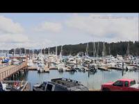 Thumbnail für die Webcam San Juan Island - Shipyard Cove Marina