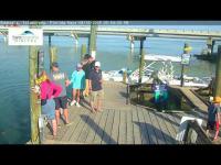 Webcam Islamorada - Robbies Marina laden