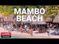 zur Webcam Curaçao - LionsDive Beach Resort