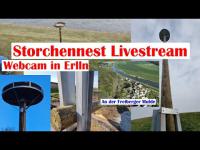 Webcam Erlln - Storchennest laden