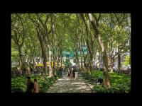 zur Webcam New York - Bryant Park
