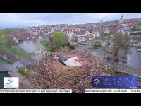 zur Webcam Bad Salzungen - Storchenwebcam