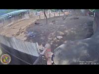 zur Webcam Honolulu Zoo - Rhino Savanne